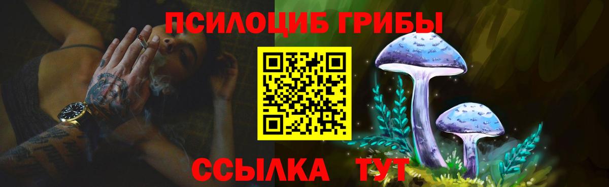 наркотики  Вход с VPN  Зерноград  Галлюциногенные грибы Cubensis 